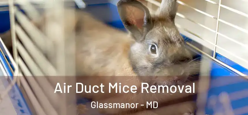  Air Duct Mice Removal Glassmanor - MD