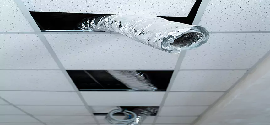 Affordable HVAC Sanitizing After Pest Removal in Glassmanor