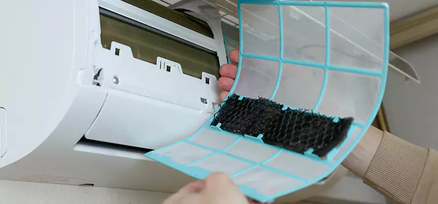 Gentle Ductwork Odor-Control Pet Dander Duct Cleaning in Glassmanor, MD