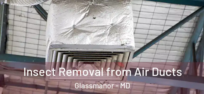  Insect Removal from Air Ducts Glassmanor - MD