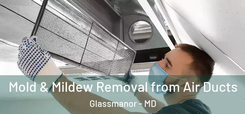  Mold & Mildew Removal from Air Ducts Glassmanor - MD