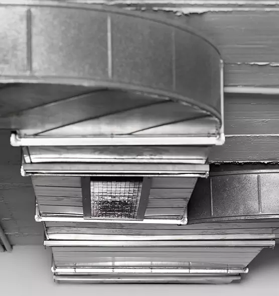 Professional Air Duct Pest Removal in Glassmanor, MD