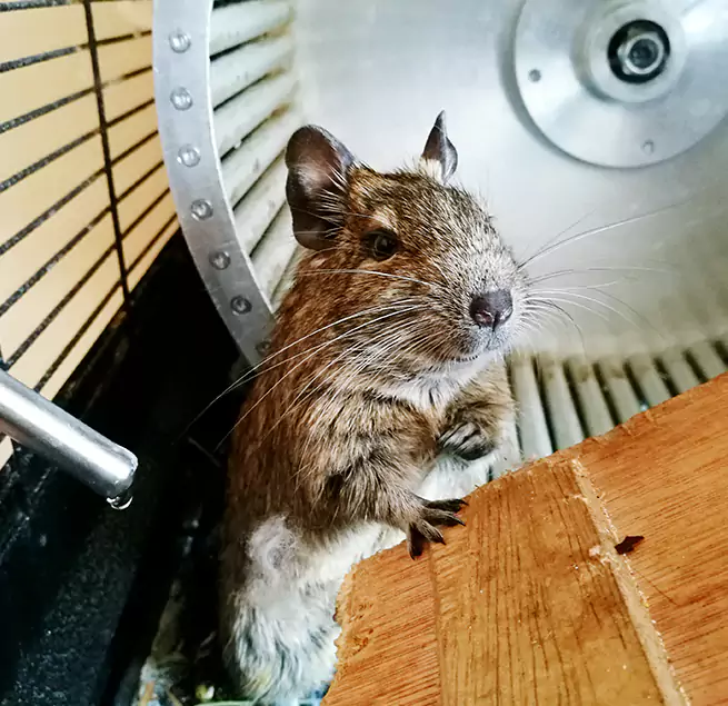 Why Homeowners & Businesses Trust Us Glassmanor, MD?